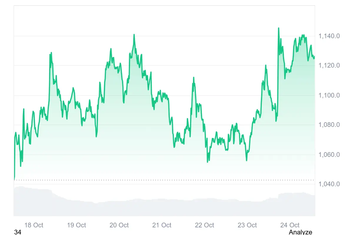 BNB-Kurs legt zu nach Begnadigung von Binance-Gründer CZ
