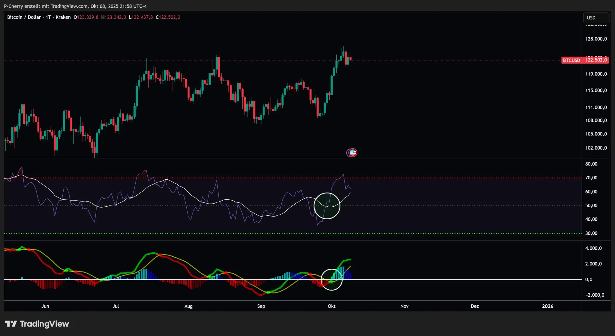 Bitcoin, RSI und MACD, Tageschart, Quelle: Tradingview