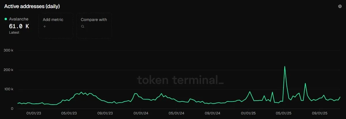 Avalanche AVAX - Taeglich aktive Nutzer