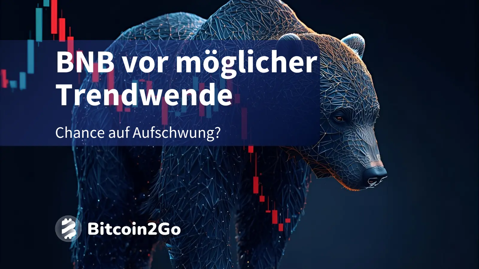 BNB-Kurs unter 1.000 USD – Kommt die Erholung?