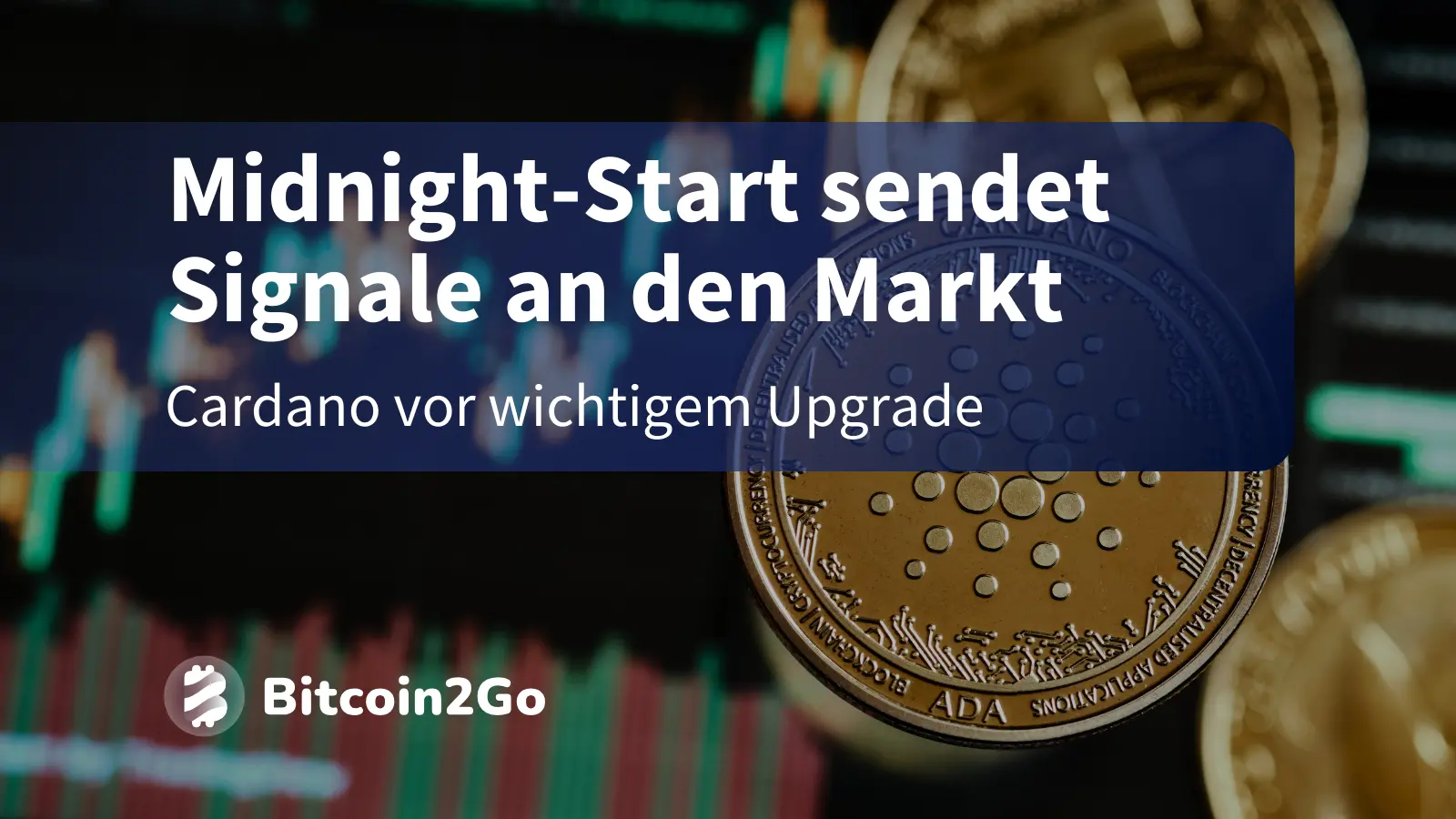 Cardano-Kurs-Dieses-Kursziel-peilen-Trader-jetzt-an