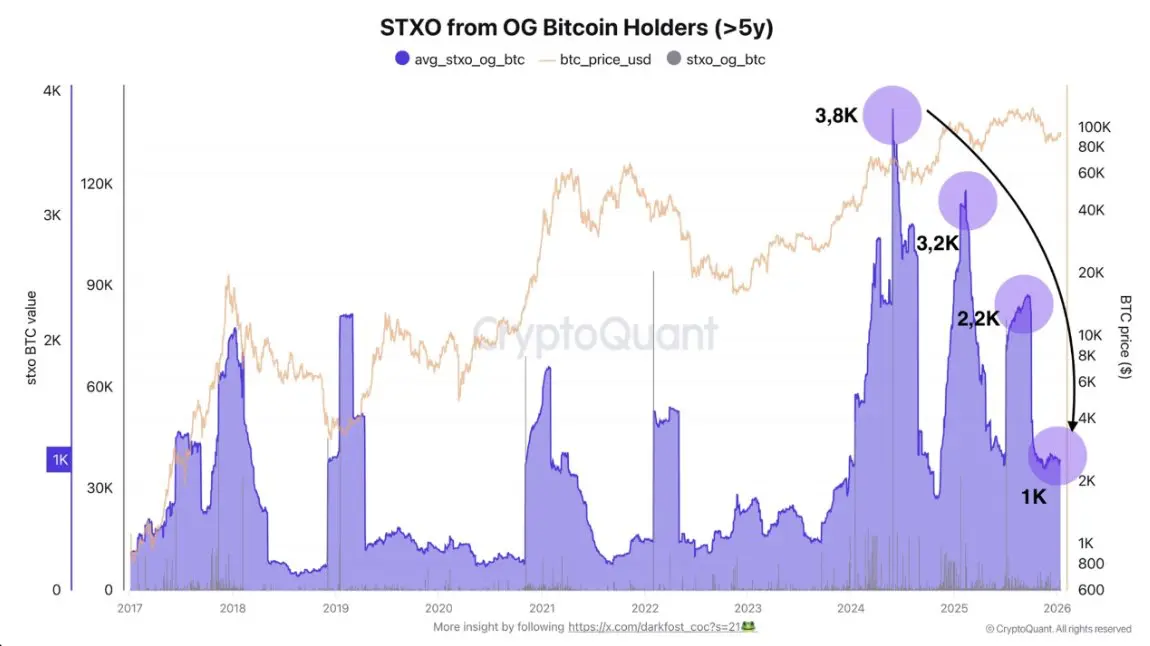 Bitcoin: OG-Halter. Quelle: CryptoQuant
