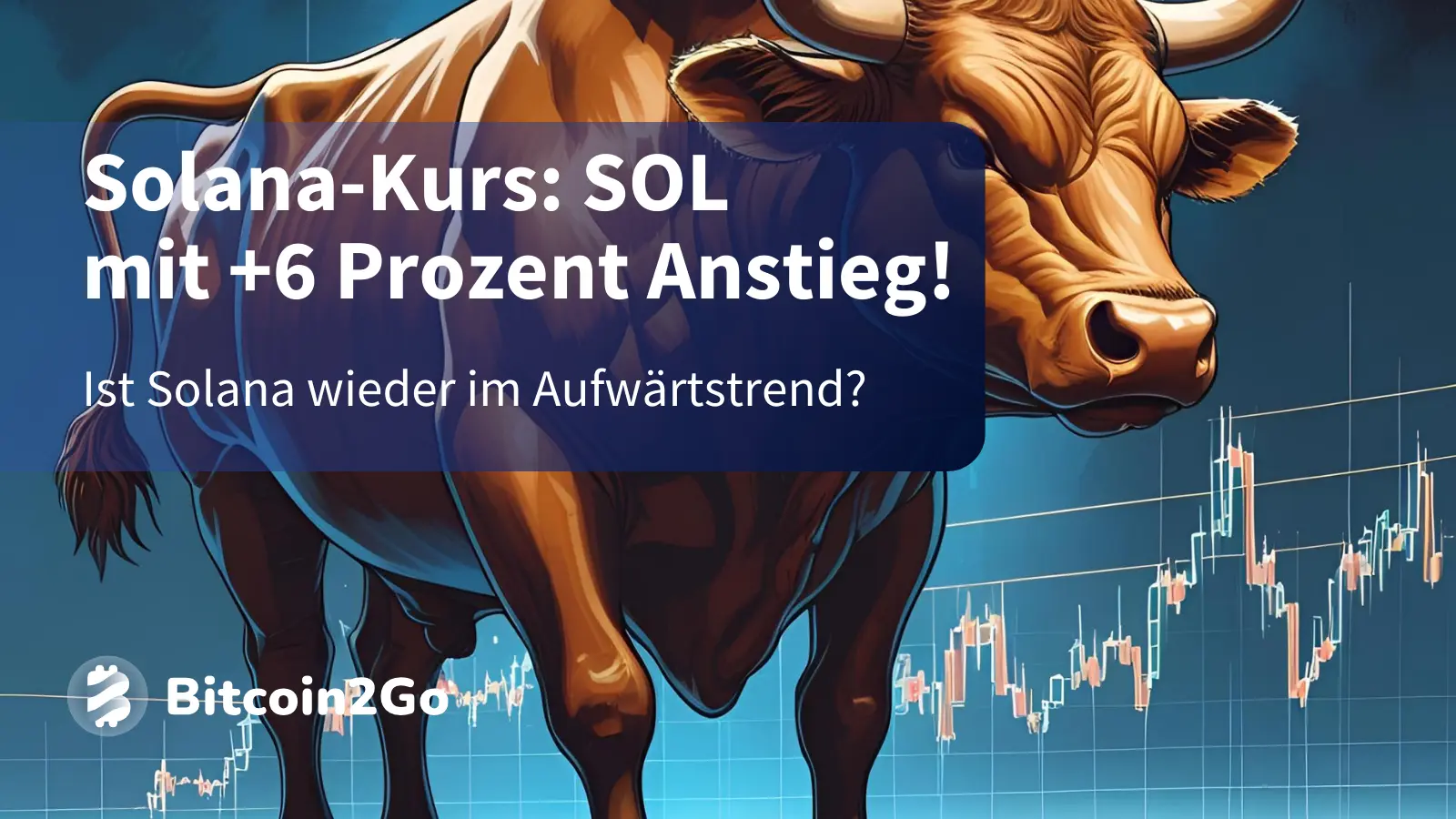 Solana-Kurs: SOL mit Rebound nach Abverkauf!