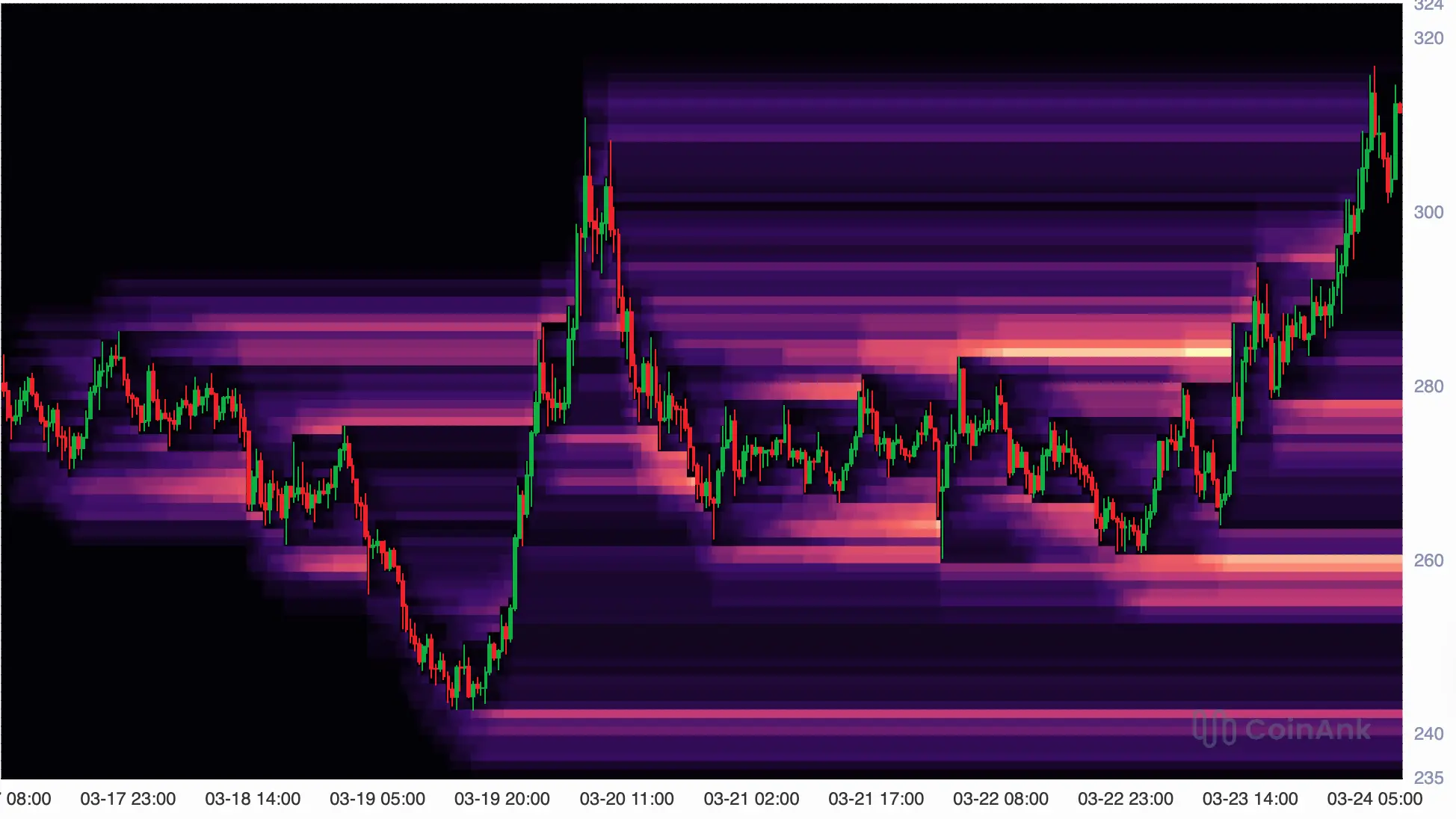 TAO-Kurs und Liquidation-Heatmap. Quelle: CoinAnk
