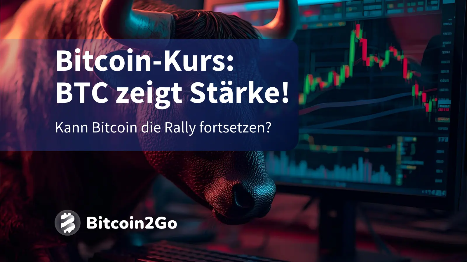 Bitcoin-Kurs: Setzt der Markt zu stark auf fallende Preise?
