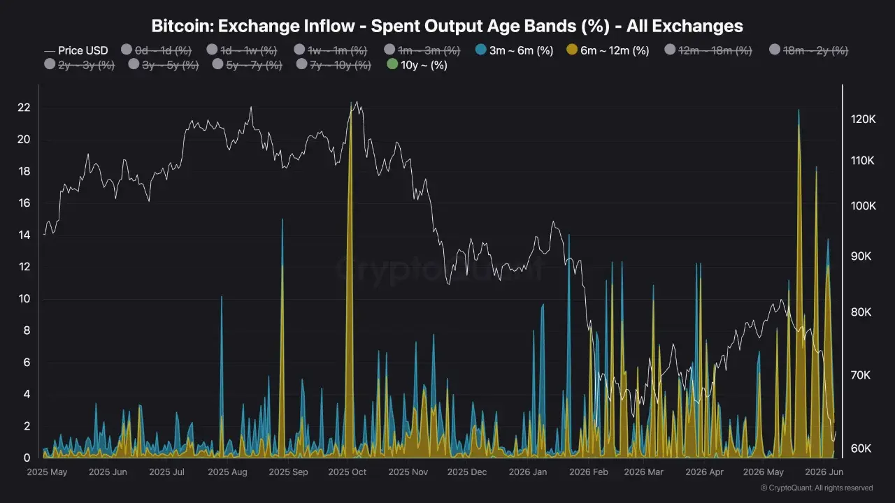 Bitcoin: Exchange Inflow. Quelle: CryptoQuant