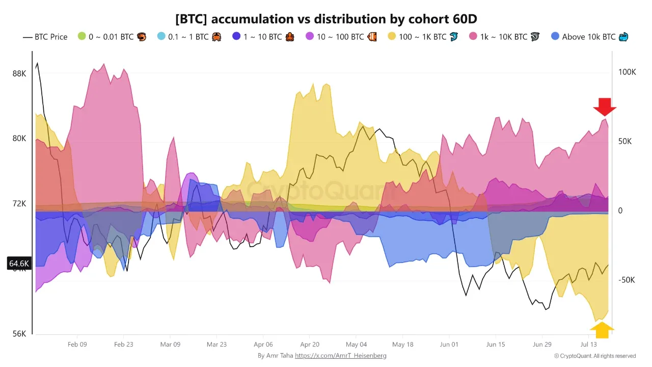 Bitcoin-Wale bauen ihre Bestände aus. Quelle: CryptoQuant