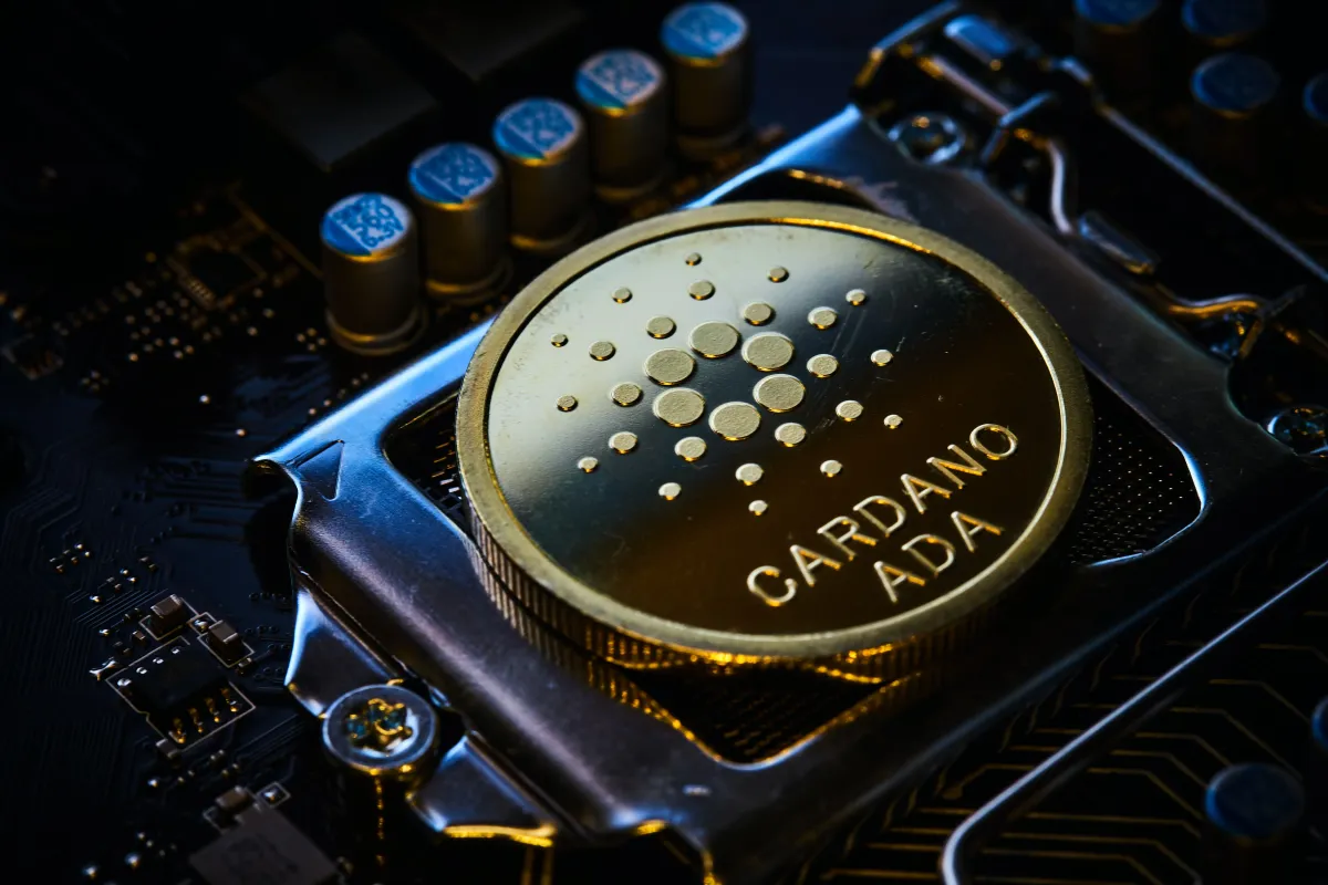 SanchoNet: Cardano wird dezentralste Blockchain von allen?