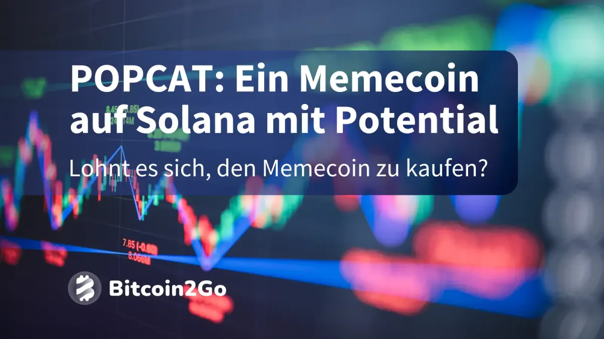 POPCAT: Der neue Star am Memecoin-Himmel?