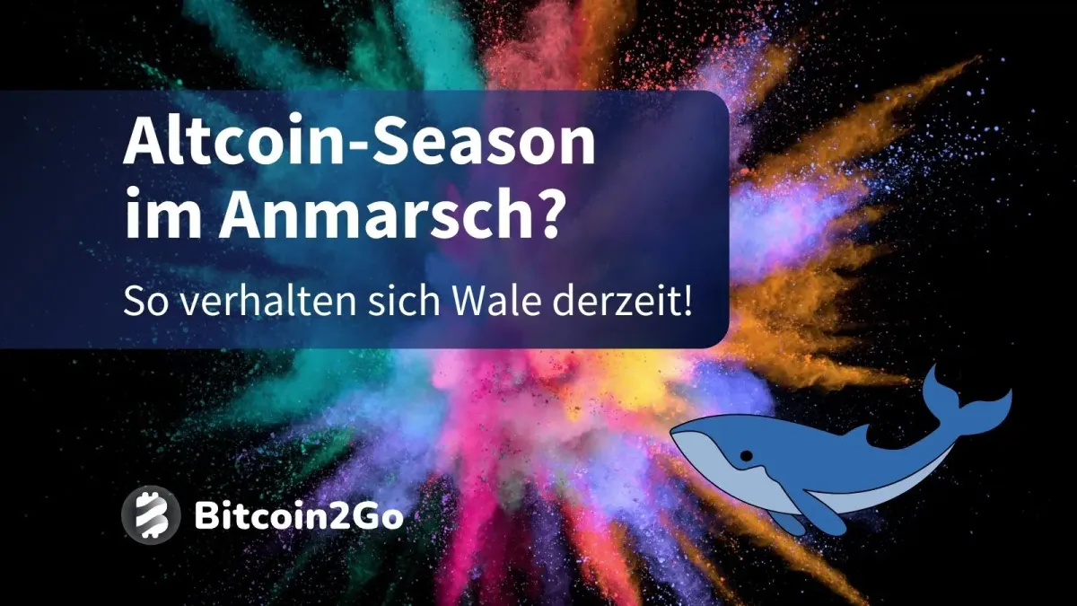 Vor der Altseason: Diese Coins kaufen die Insider jetzt