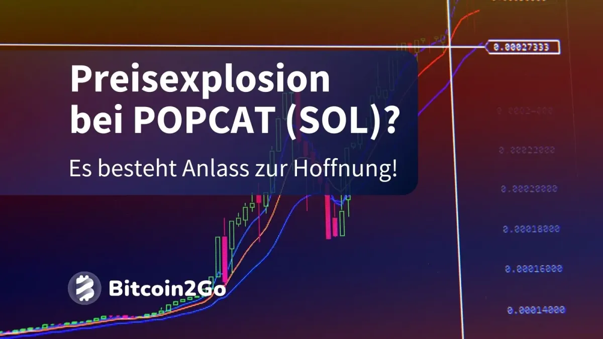 Solana Memecoin POPCAT erreicht $1 Mrd. Marktkapitalisierung