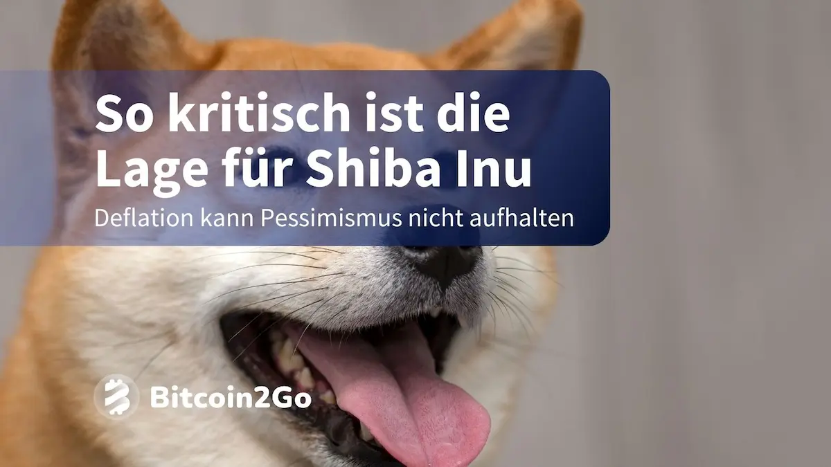 Shiba Inu: Explodiert der Kurs dank 4137 % Burn-Rate?