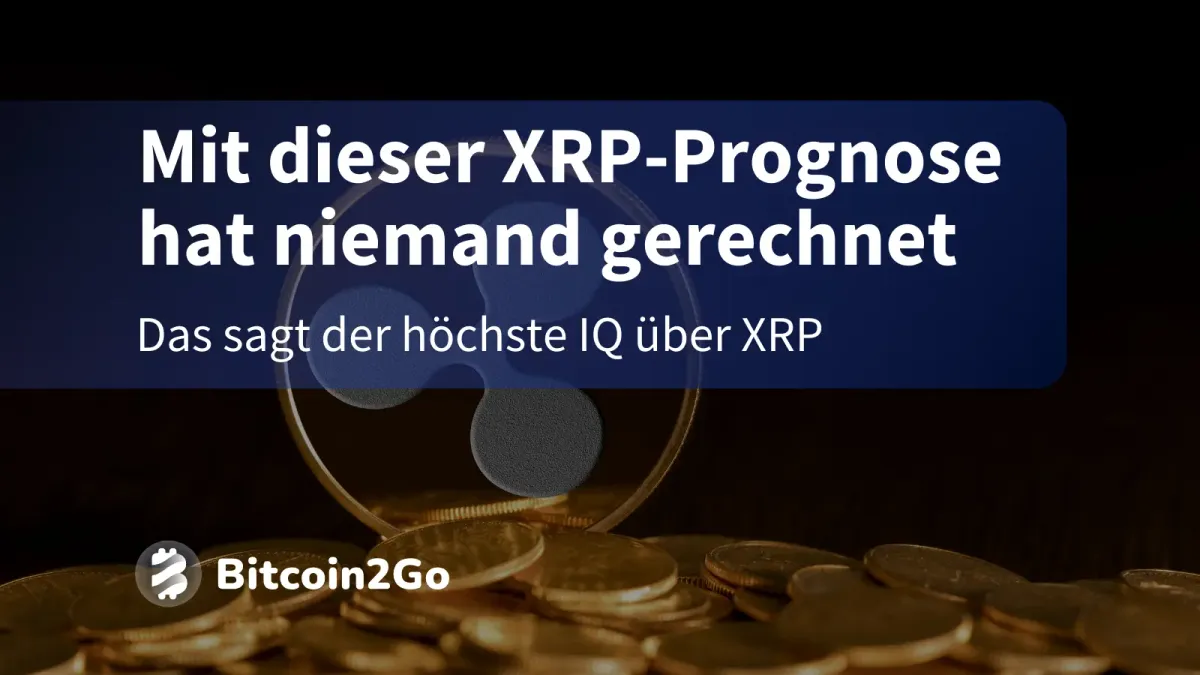 Der Mensch mit dem höchsten IQ der Welt sieht XRP vor Ethereum