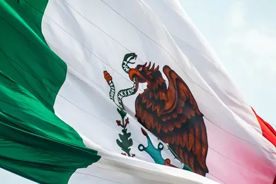 Bitcoin in Mexico: Politikerin will BTC als offizielle Währung