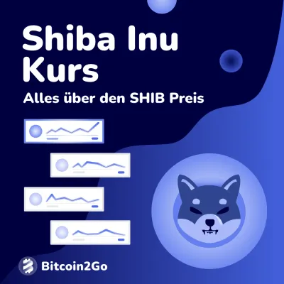 Shiba Inu Kurs: Euro, Dollar und Schweizer Franken