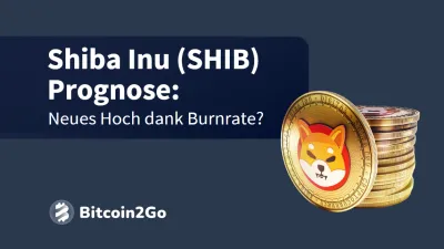 Shiba Inu (SHIB) - Kursprognose für Anfang 2024