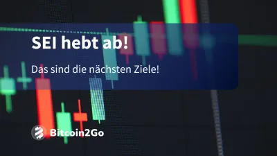 SEI startet durch (+32%): Ist die Trendwende gelungen?