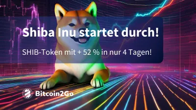 Meme Coins steigen: Shiba Inu mit + 52 % in nur 4 Tagen