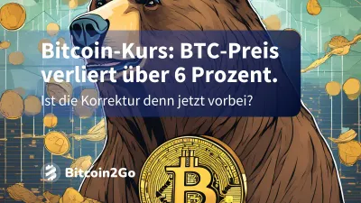 📉 Bitcoin-Kurs fällt auf 94k: Korrektur oder Bärenmarkt?