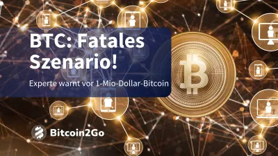 Bitcoin bei 1 Mio.: Novogratz warnt vor Albtraum-Szenario!