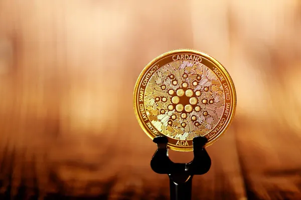 Cardano Kurs: Whales befeuern Plus von 65 Prozent