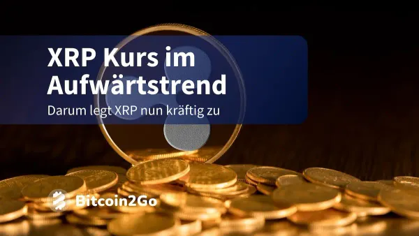 XRP Kurs outperformt die Top 20 – das steckt dahinter