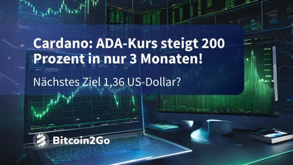 Cardano-Kurs mit + 200 % in 3 Monaten - So geht es weiter!