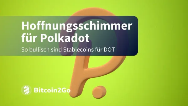 Polkadot (DOT) Comeback? Stablecoin-Volumen auf Rekordhoch