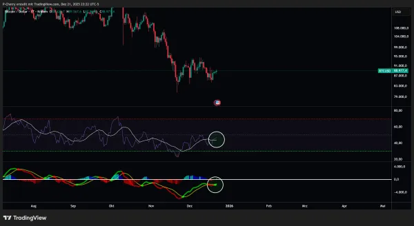 Bitcoin, RSI und MACD, Tageschart, Quelle: Tradingview