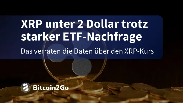 Trotz großer Inflows bei XRP-ETFs: Warnung für XRP-Kurs