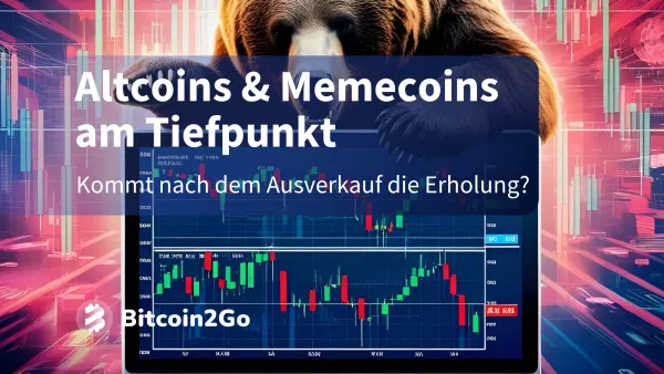 Memecoins im Ausverkauf: Wie tief kann es noch gehen?