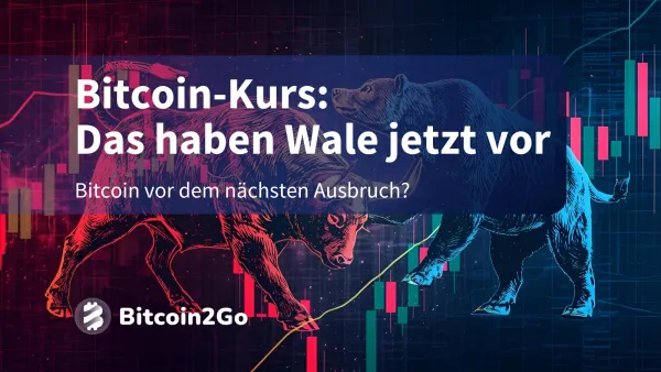 Bitcoin-Kurs: Wale kaufen massiv – kommt der nächste Schub?